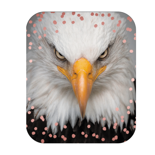 SP AGUILA Este diseño de nuestro StickyPhones está pensado para todo aquel amante de los animales, en especial, de las aguilas. A quién no le gusta customizar su teléfono con su animal favorito. Ahora puedes hacerlo comprando este StickyPhones y luciendo tu teléfono allá donde vayas con este diseño actual y moderno. El teléfono móvil lo usa todo el mundo sin limite de edad. A todos nos gusta hacer una foto grupal y que “todos” salgan en ella, sin perder un buen enfoque. Péga tu StickyPhones sobre una superficie lisa como una pared, un mueble, una farola, un electrodoméstico, etc, pon el temporizador ….y…..MAGIA! Foto realizada para el recuerdo! Usa tu StickyPhones para grabar vídeos, filmar o seguir tutoriales de cualquier tema que te interese como una receta de cocina, cómo maquillarte correctamente, clases on line de yoga, fitness, meditación,….tú decides! Y SIEMPRE estarás viendo el diseño que hayas elegido al comprar tu StickyPhones y que te haga sentirte bien. Síguenos en nuestra web y en nuestras redes sociales y descubre todo un mundo StickyPhones!